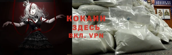 гидра Белоозёрский