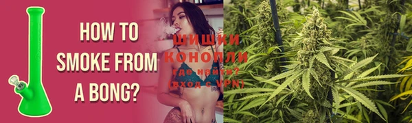 гидра Белоозёрский